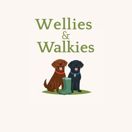 Wellies & Walkies logo. Two dogs with a pair of wellingtons. 